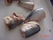 کنسرو ماهی خال مخالی در بریل، جک ماهی خال مخلوط کنسرو شده در سس گوجه فرنگی بدون مکمل های مصنوعی