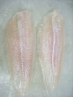 فلفل دلمه ای منجمد ماهی منجمد فلفل پاناساسو / ماهی بسا از ویتنام