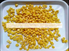 لذت و خوشمزه بودن ذرت شیرین کنسرو