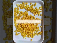 همه کاره بودن ذرت شیرین کنسرو شده را کشف کنید