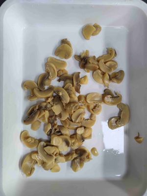 کشف طعم لذیذ سبزیجات کنسرو شده قارچ 850 گرم