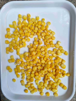 Fresh Corn and Canned Sweet Corn Natural Color