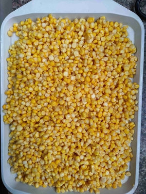 نوع کشت غیر GMO ذرت زرد کنسرو شده و نوع فرآوری طعم دار