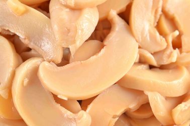 قارچ قارچ تغذیه شده / قارچ کنسرو قارچ عطر شور