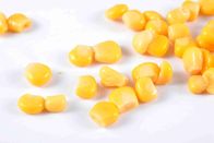 زرد طلایی کنسرو ذرت شیرین ذرت با باز شدن درب آسان HACCP تایید شده است