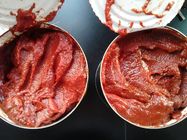 شستشوی پودر کیک گوجه فرنگی بدون بوی خاص و نگهدارنده
