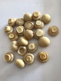 190 گرم کنسرو قارچ مشترک Cultivatea کامل / قطعات و ساقه
