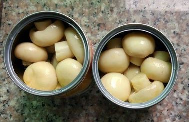 قارچ سالم کل قارچ کنسرو 400 گرم ارزان از چین