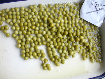 نخود سبز کنسرو لوبیا سبز 400g / 240g با نور آبی آسان