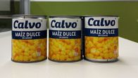 کالو مارک کنسرو ذرت شیرین Maiz Dulze وزن خالص 241 گرم برای آمریکای مرکزی
