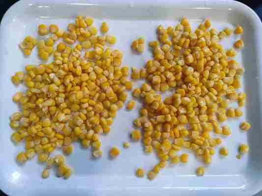 ذرت تازه کنسرو شده ذرت شیرین برای میوه و قارچ
