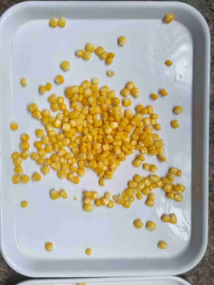 Fresh Sweet Corn Canned Sweet Corn Convenient Fresh Sweet Corn Ready-to- And Easy-to-store