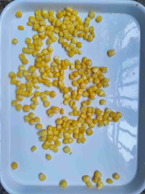 Edible Method Ready To Eat Preserved Sweet Corn Normal Open Lid Acceptable