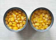 کنسرو ذرت شیرین غیر GMO بدون افزودنی
