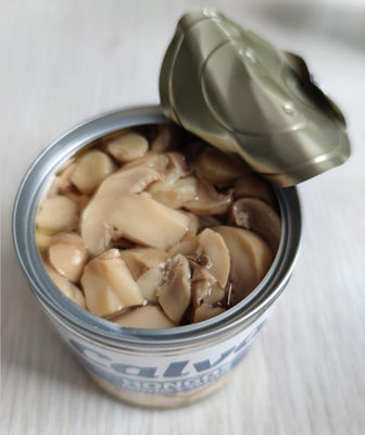 580ml 720ml Grade A کنسرو قارچ قارچ با طعم شور