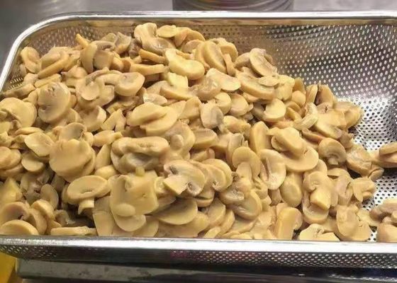 برش قارچ قارچ Champignon