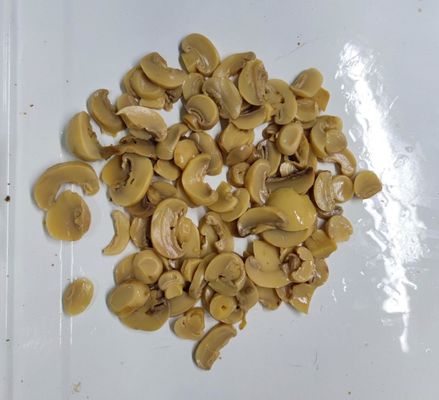 قارچ شامپینیون کنسرو شده آماده مصرف تازه و خوشمزه