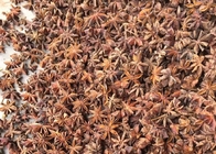محصول جدید دانه های بادیان ستاره ای پاییزی طبیعی