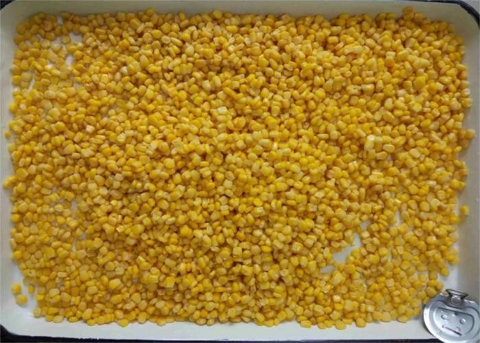 ذرت شیرین کنسرو شده درجه A، ذرت شیرین کنسرو شده در قوطی در وزن های 90 گرم، 184 گرم، 340 گرم و 425 گرم، مناسب برای پذیرایی، تولید مواد غذایی و مصارف تجاری