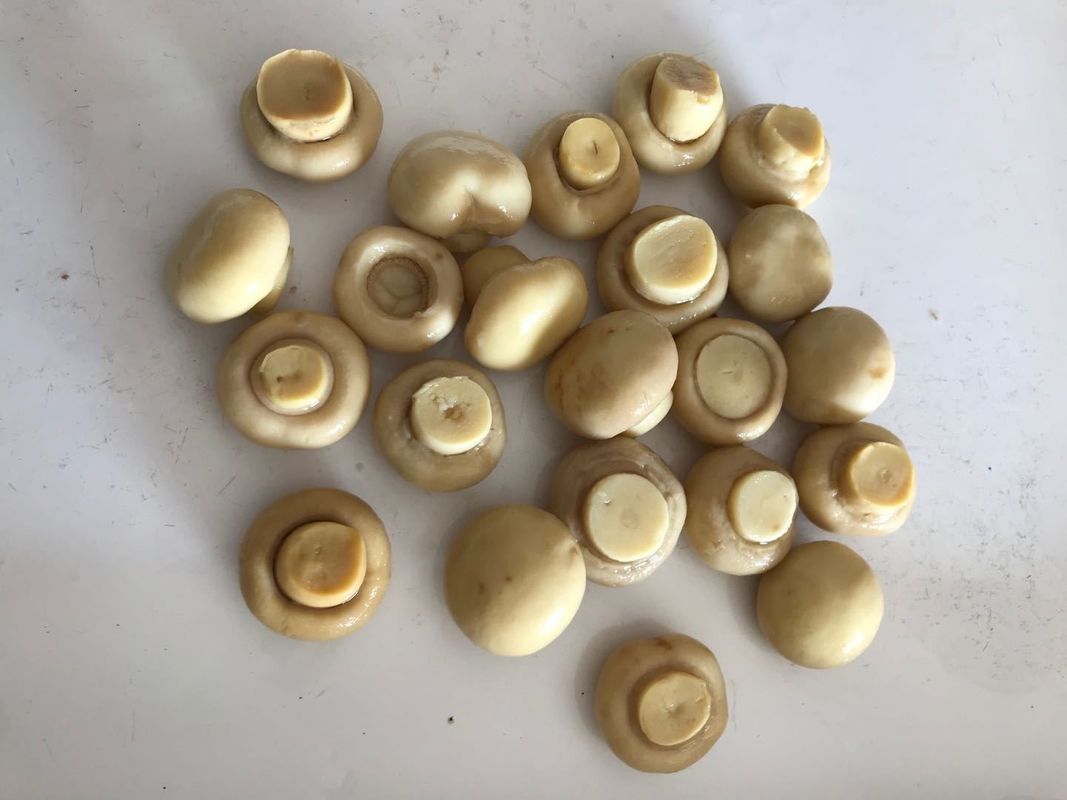 انواع قارچ های شامپینون سبزیجات کنسرو شده حاوی طعم طبیعی خالص قارچ های شامپینون کنسرو شده برای صنایع غذایی