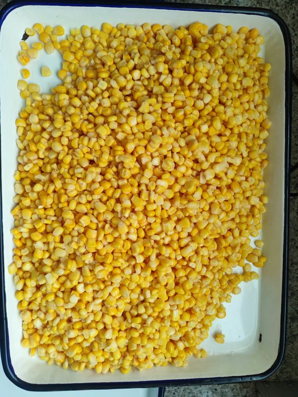 ذرت شیرین بسته بندی شده در قوطی آماده برای خوردن دانه های ذرت قوطی برای وعده های غذایی فوری
