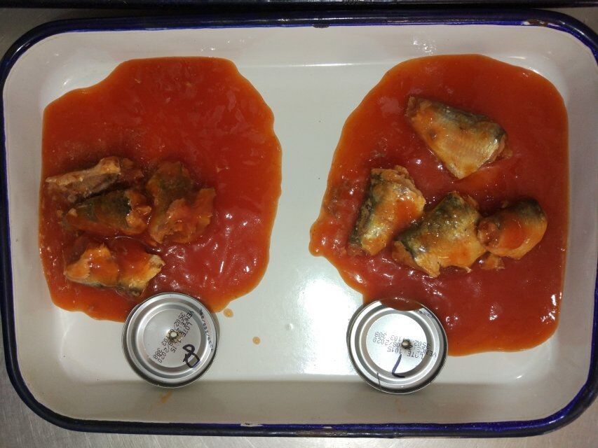 50 X 155g کنسرو ساردین ماهی در سس گوجه فرنگی همراه با چیلی داغ