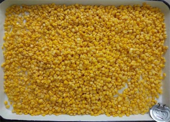 ذرت شیرین کنسرو شده درجه A، ذرت شیرین کنسرو شده در قوطی در وزن های 90 گرم، 184 گرم، 340 گرم و 425 گرم، مناسب برای پذیرایی، تولید مواد غذایی و مصارف تجاری