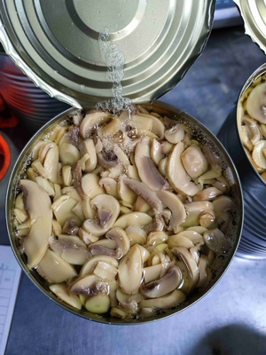 قارچ قارچ کنسرو شده با طعم اصلی، خنک و خشک، PH 4.5-6.5