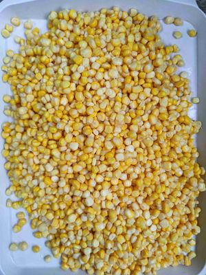 عمده 425g ذرت شیرین کنسرو شده با ذرت شیرین تازه در 24 قوطی در هر کارتن برای رستوران ها و خدمات غذایی
