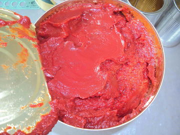 گوجه فرنگی تازه، پوره گوجه فرنگی کنسرو شده، عالی برای افزودن طعم طبیعی گوجه فرنگی به وعده های غذایی شما