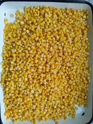 وزن تخلیه شده 1800 گرمی ذرت شیرین کنسرو شده پوشه سخت باز ذرت کنسرو شده مناسب برای رستوران ها و پردازش مواد غذایی