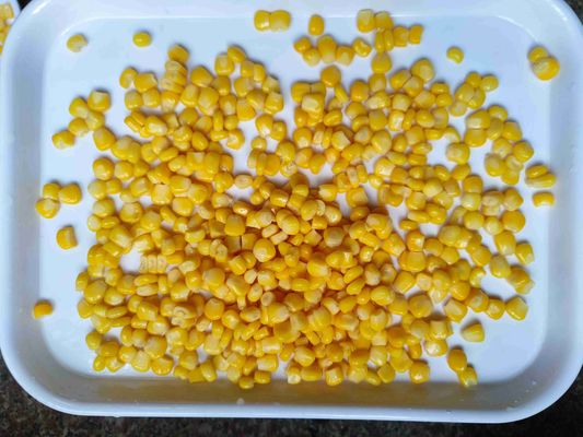 مواد ذرت تازه ذرت شیرین کنسرو شده 425g X 24 ذخیره در یک محیط خنک مناسب برای پردازش مواد غذایی