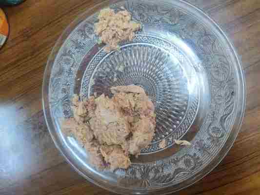 گوشت ماهی تنباکو با روغن آب شده یک غذای خوشمزه و مغذی برای آشپزخانه